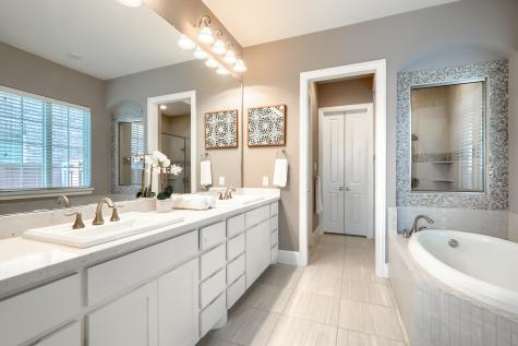 1224 Damsel Grey Trail Lewisville TX 75056