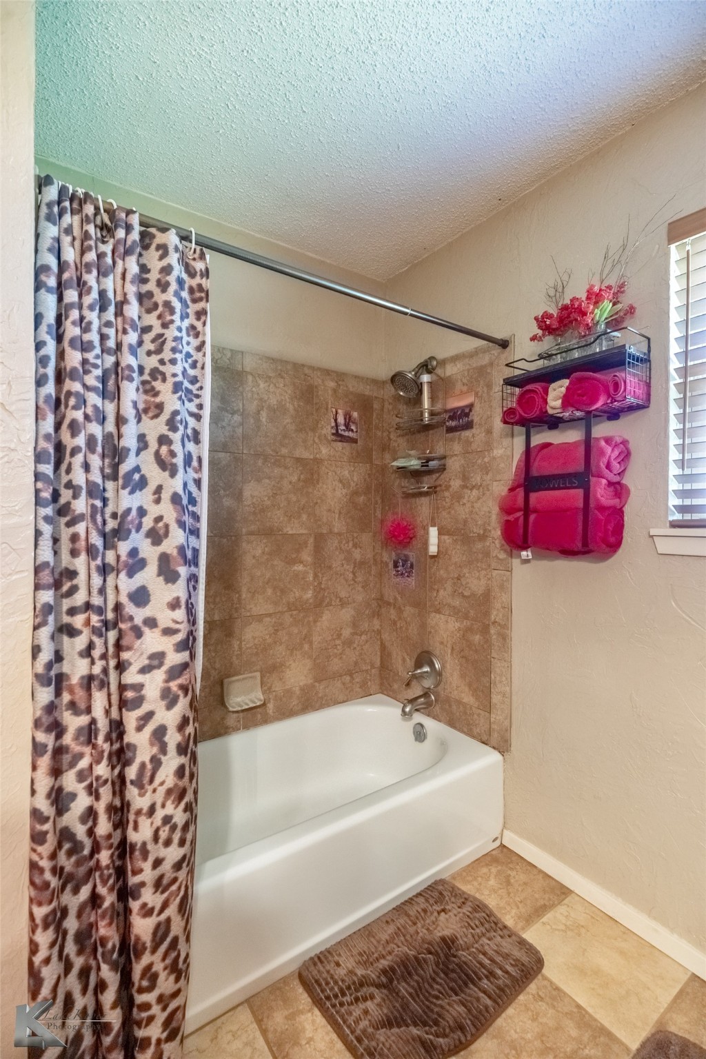8608 Spinks Road Abilene TX 79603