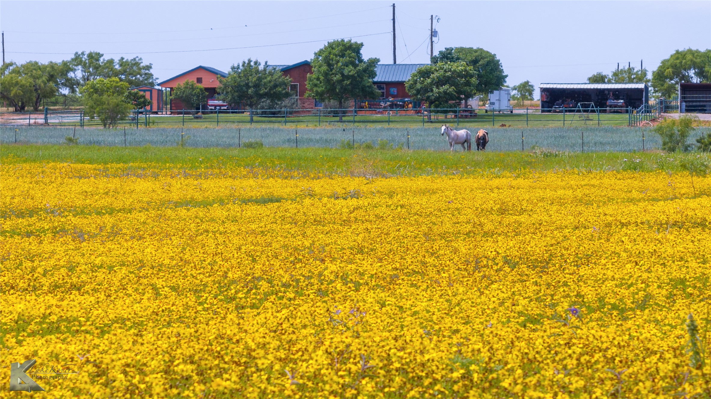 8608 Spinks Road Abilene TX 79603