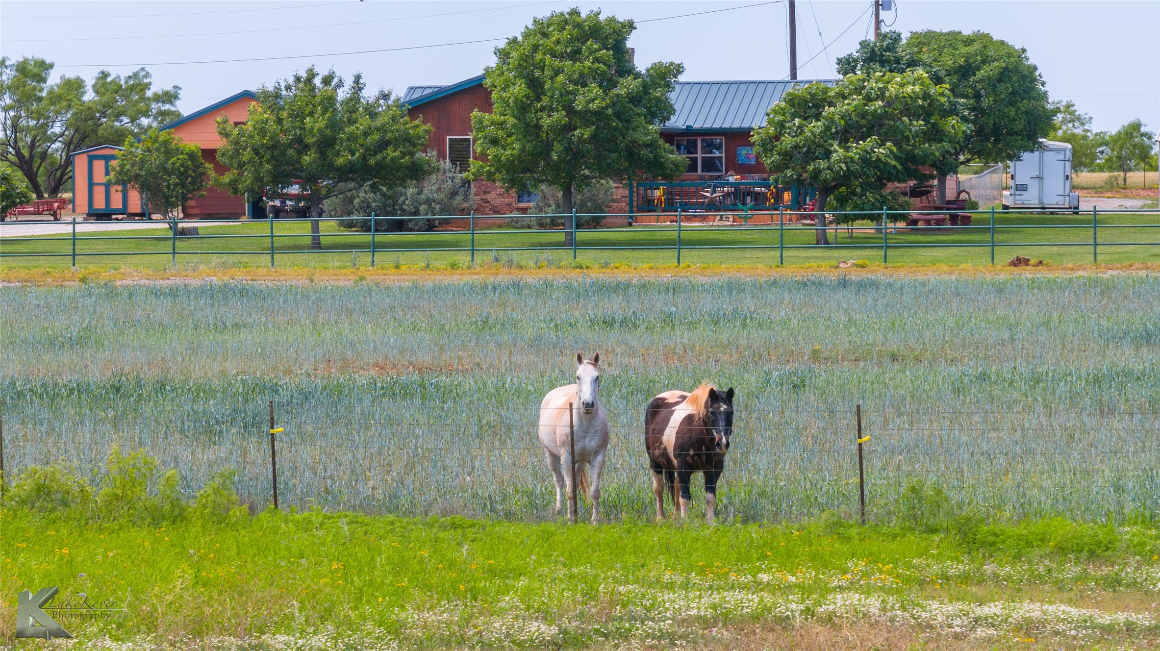 8608 Spinks Road Abilene TX 79603