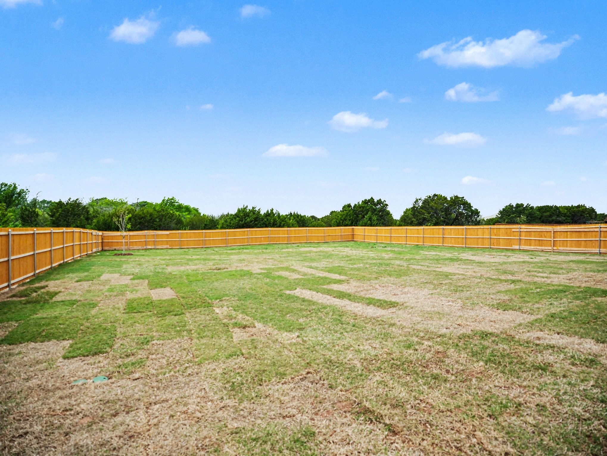 979 Beaverbrook Lane Desoto TX 75115