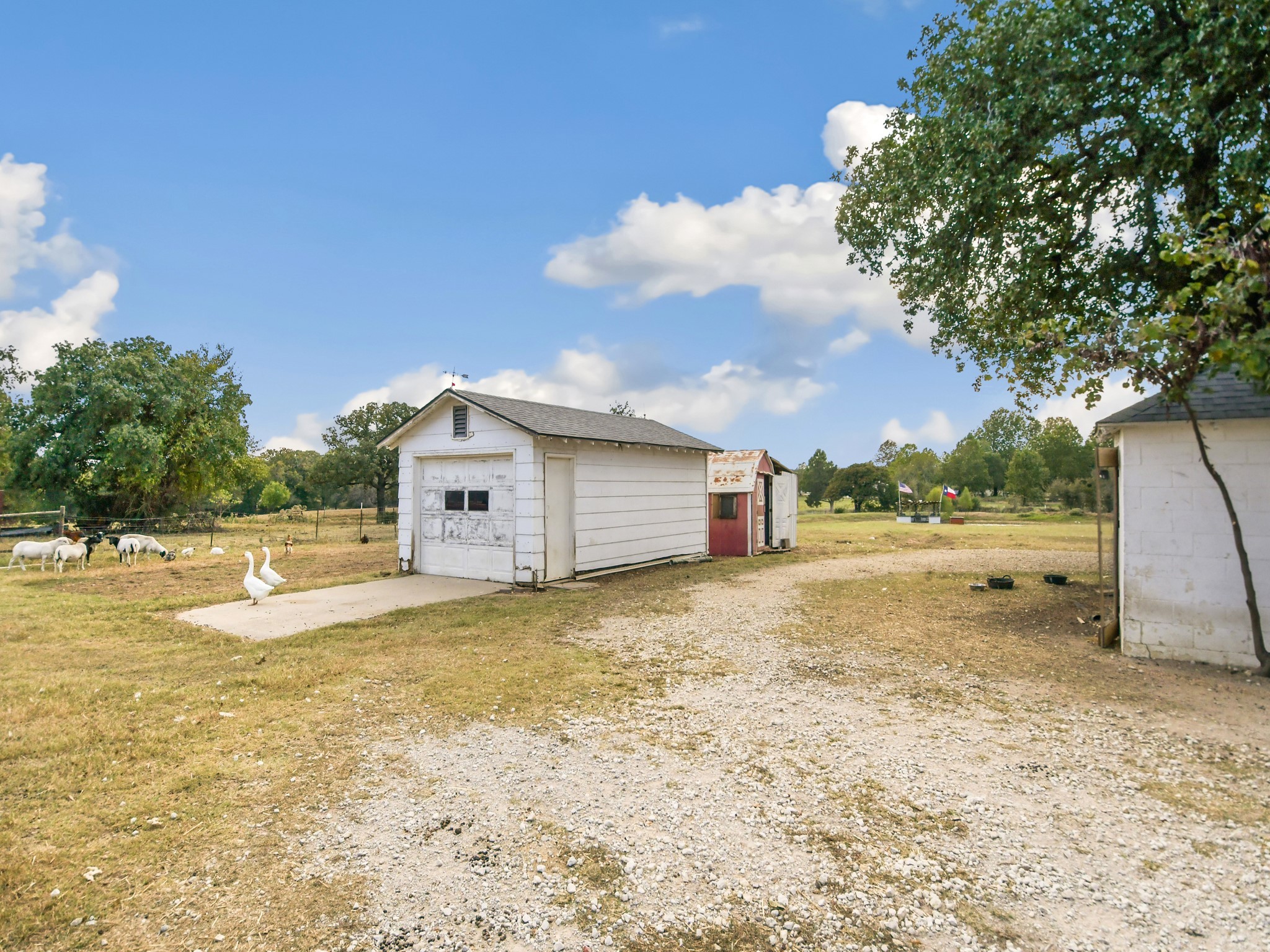 764 County Road 147 Gainesville TX 76240