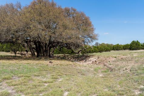 305 Willow Oak Goldthwaite TX 76844