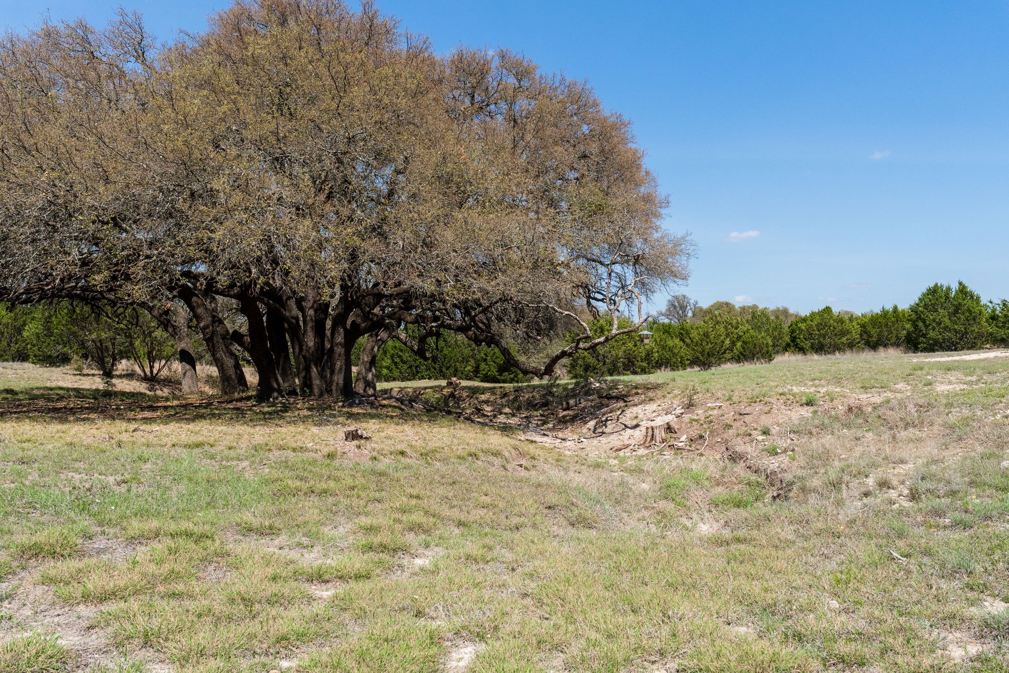 305 Willow Oak Goldthwaite TX 76844