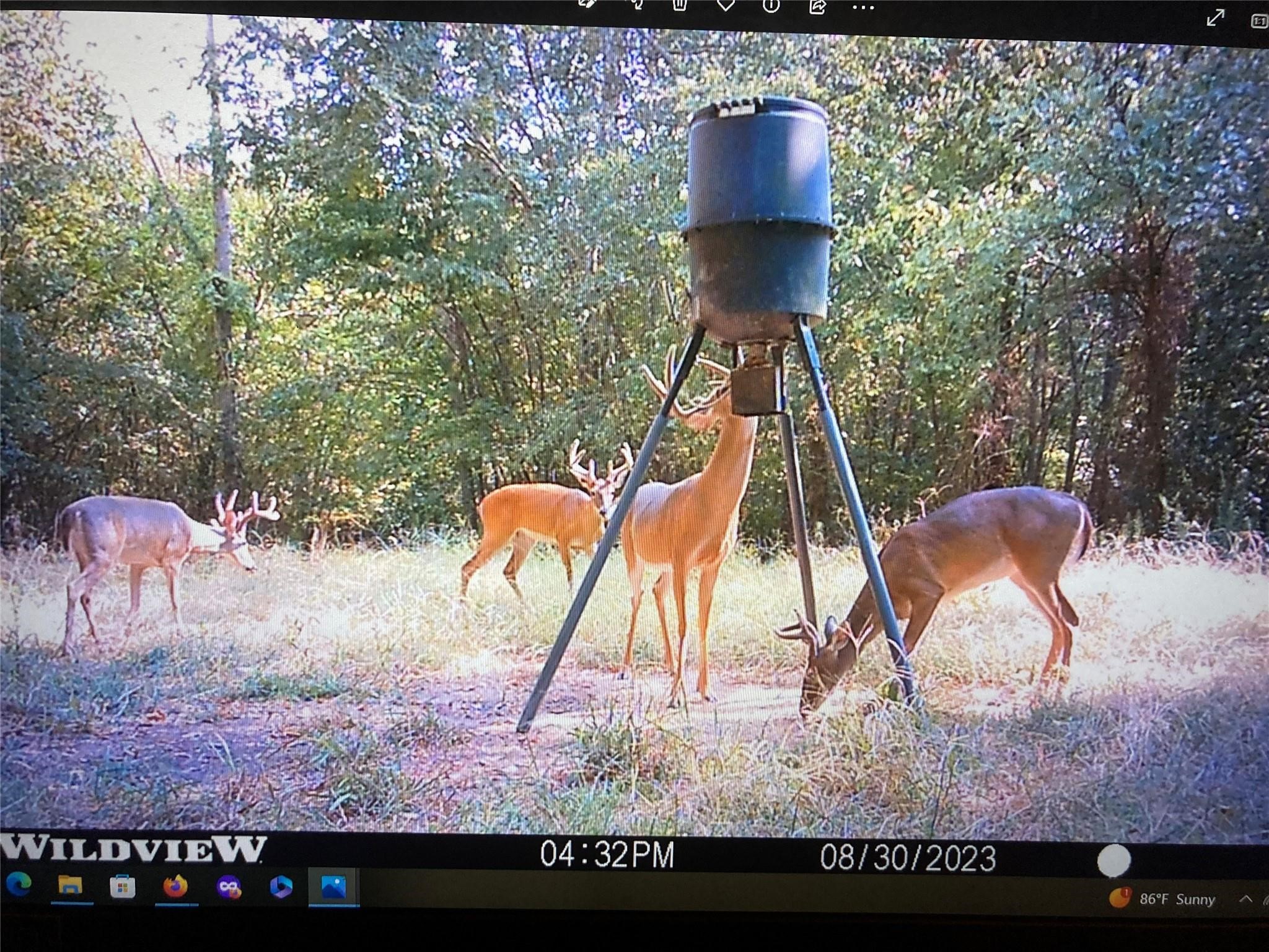 250 County Road 45700 Detroit TX 75436