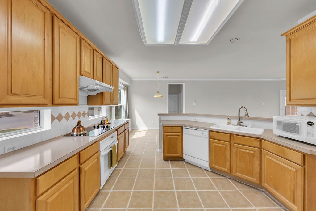 221 Woodlake Drive Murphy TX 75094