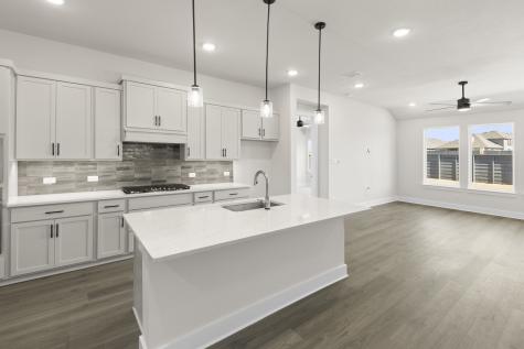 7204 Indian Paintbrush Lane Little Elm TX 76227