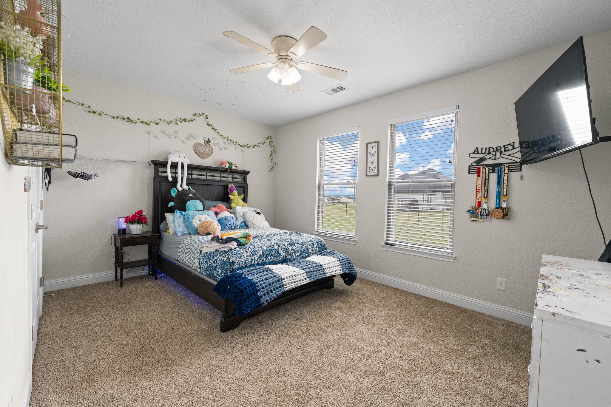 3401 Chinaberry Lane Joshua TX 76058