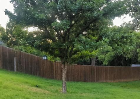 101 Silktree Court Lake Dallas TX 75065