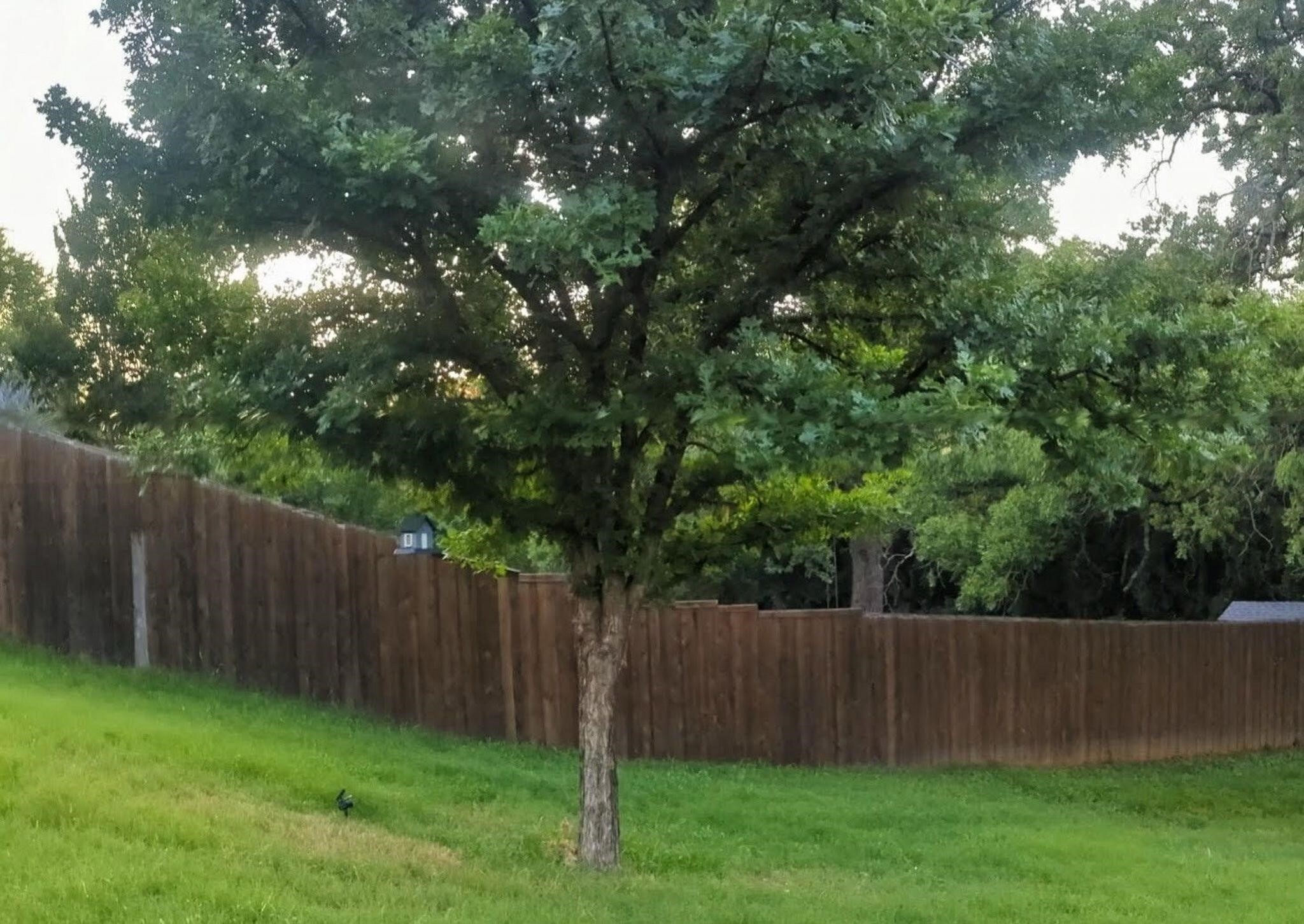 101 Silktree Court Lake Dallas TX 75065