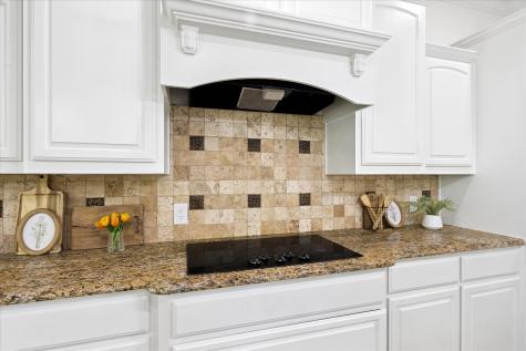 1151 Ashemore Court Midlothian TX 76065