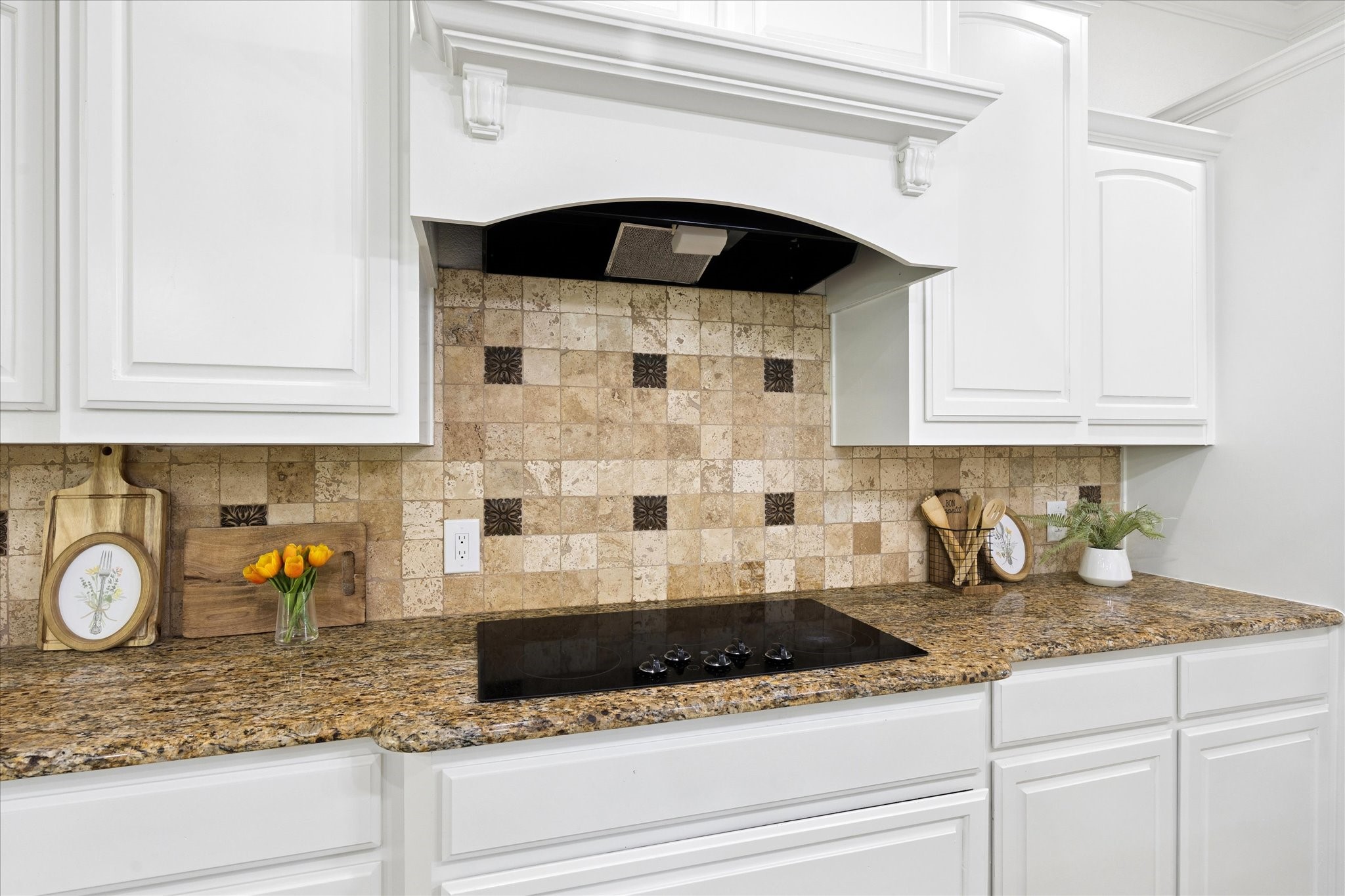 1151 Ashemore Court Midlothian TX 76065