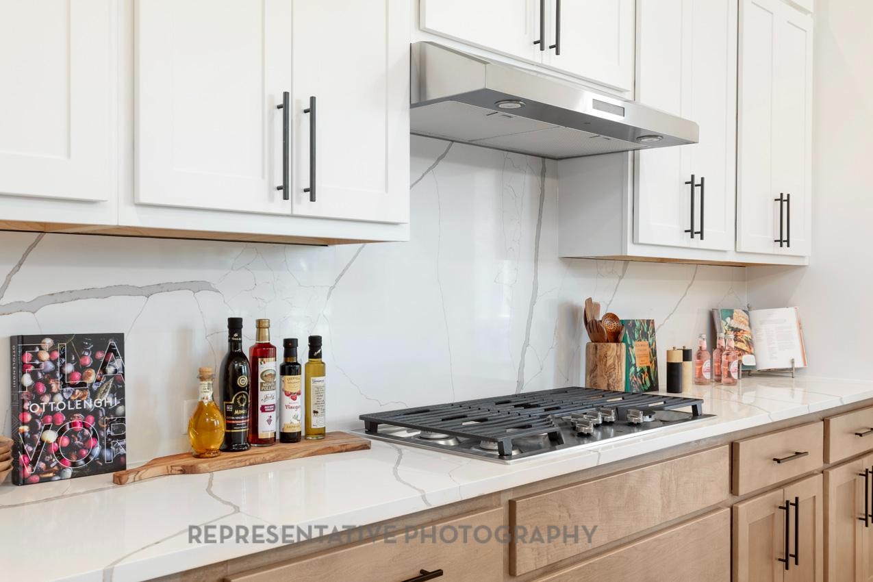 1431 Tenuta Drive Fate TX 75087