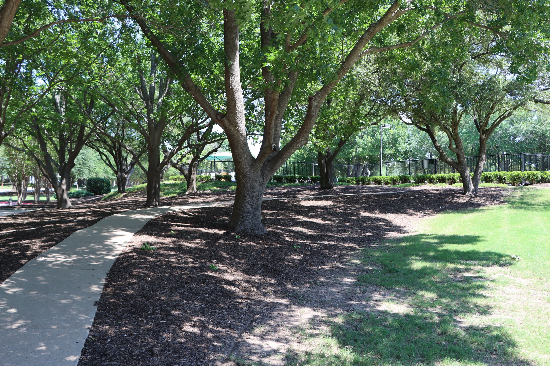 700 Bandera Drive Allen TX 75013