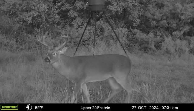 2523 Cr 218 Hico TX 76457