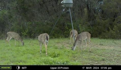 2523 Cr 218 Hico TX 76457