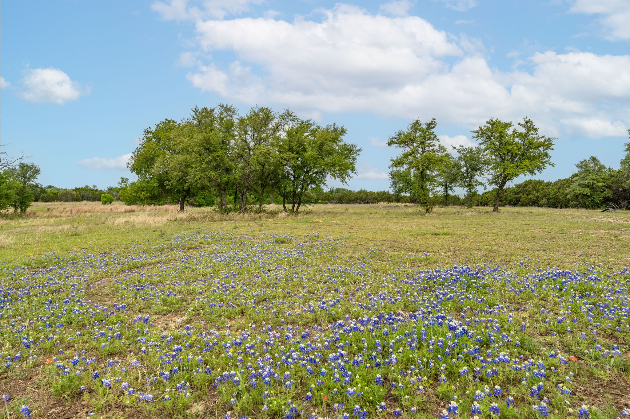 2523 Cr 218 Hico TX 76457