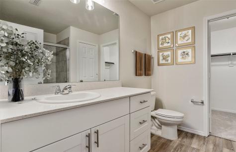 14057 Ladbroke Street Pilot Point TX 76258
