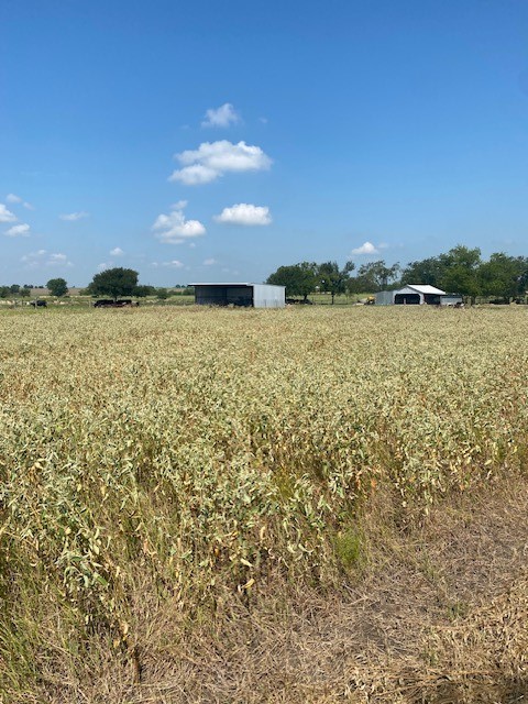 449 County Road 403 Lott TX 76656