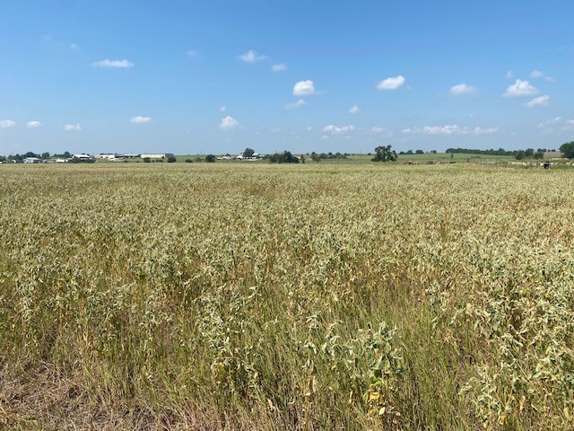 449 County Road 403 Lott TX 76656