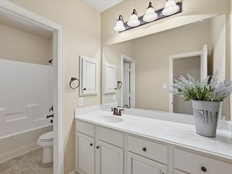 313 Turnstone Drive Little Elm TX 75068
