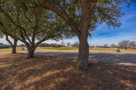 9509 Glenshee Drive Rowlett TX 75089