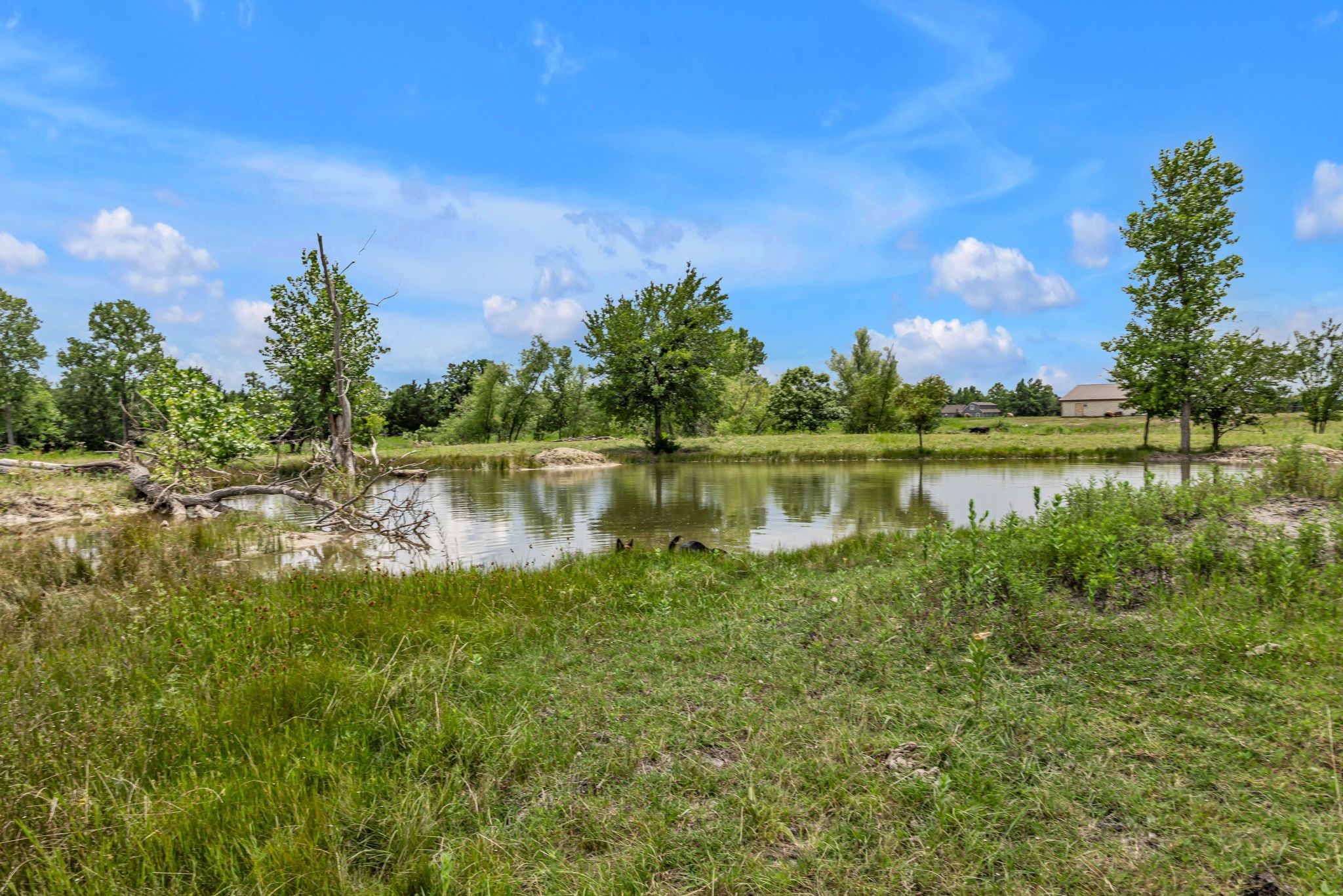 9500 Nacogdoches Trail Forney TX 75126