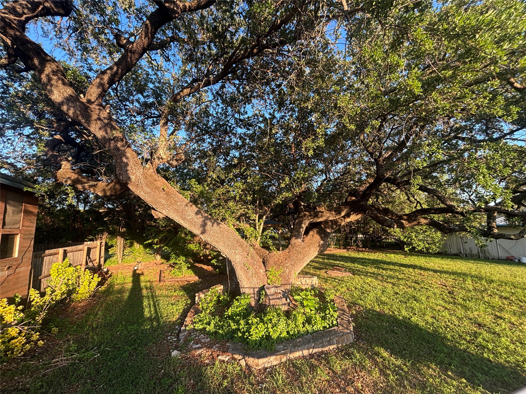 4913 Terlingua Drive Granbury TX 76048