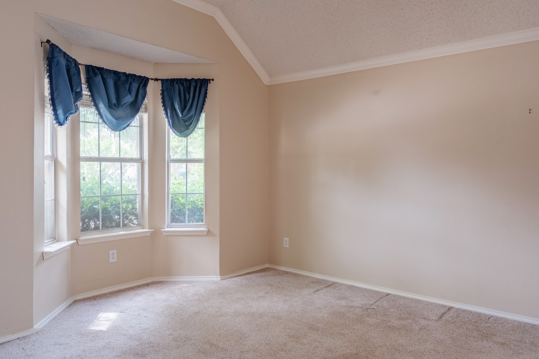 8008 Paloverde Drive Fort Worth TX 76137