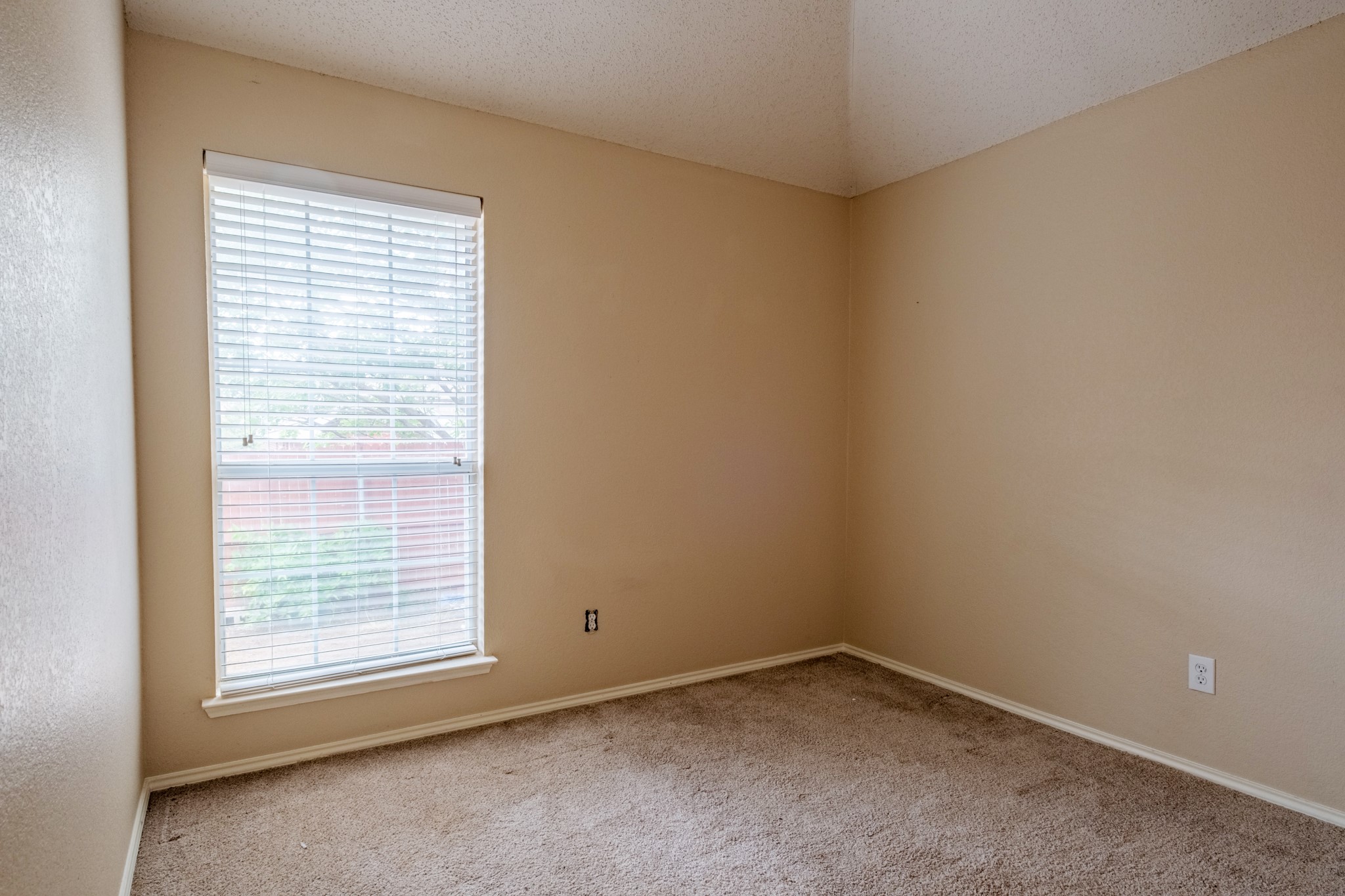 8008 Paloverde Drive Fort Worth TX 76137
