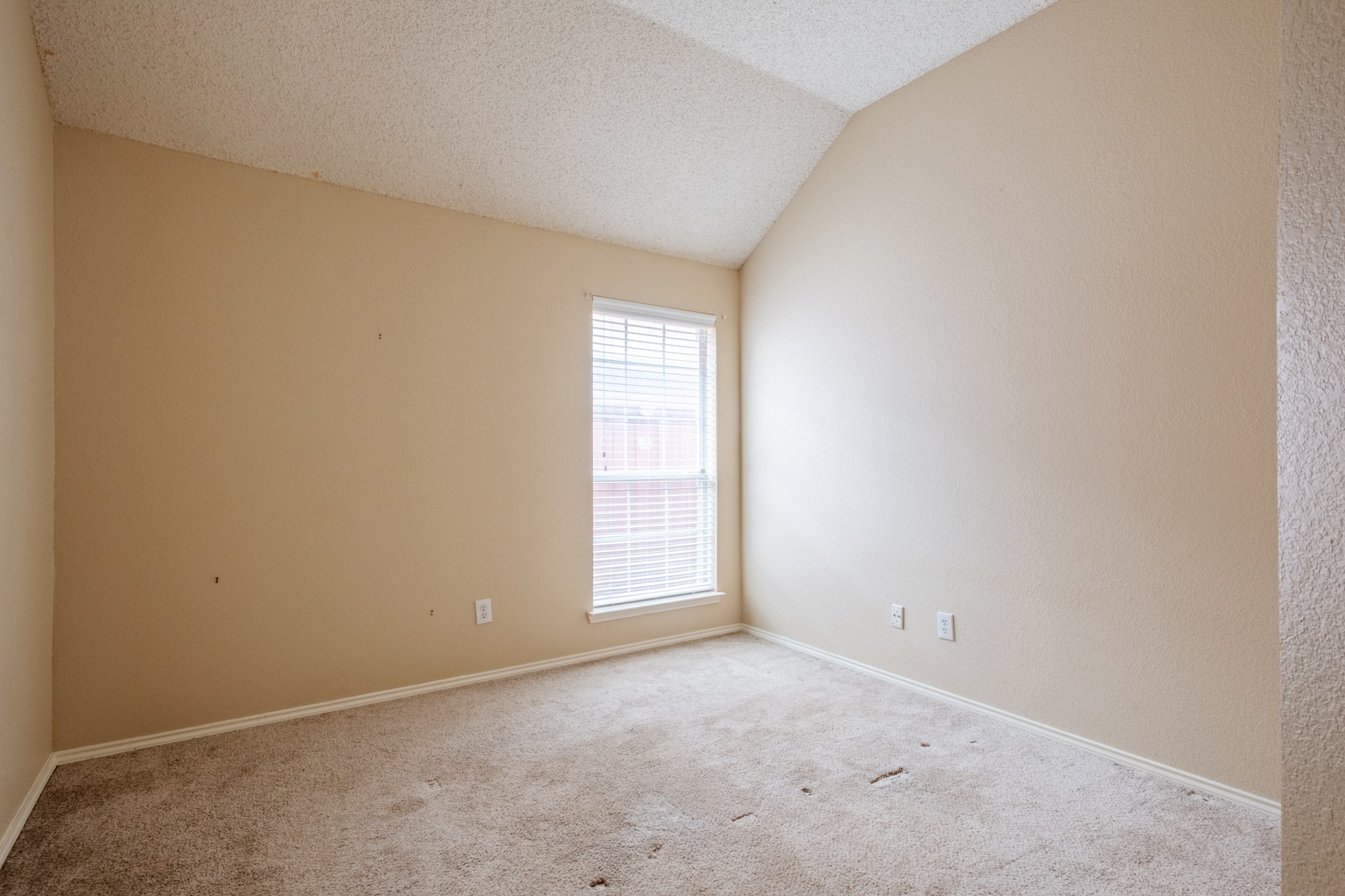 8008 Paloverde Drive Fort Worth TX 76137
