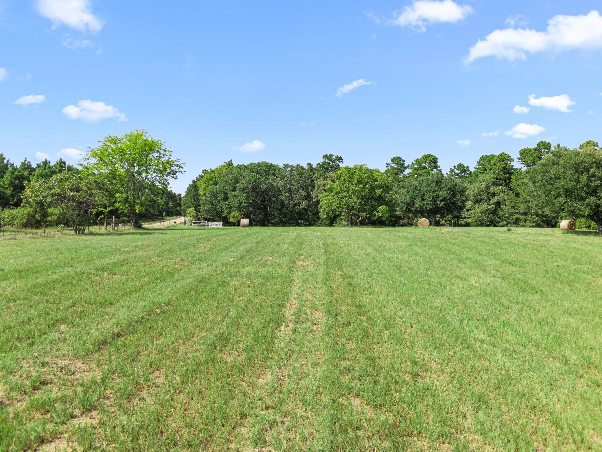 1081 County Road 3875 Mineola TX 75773