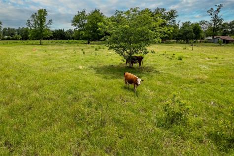 7037 E U.s. Highway 80 Hawkins TX 75765