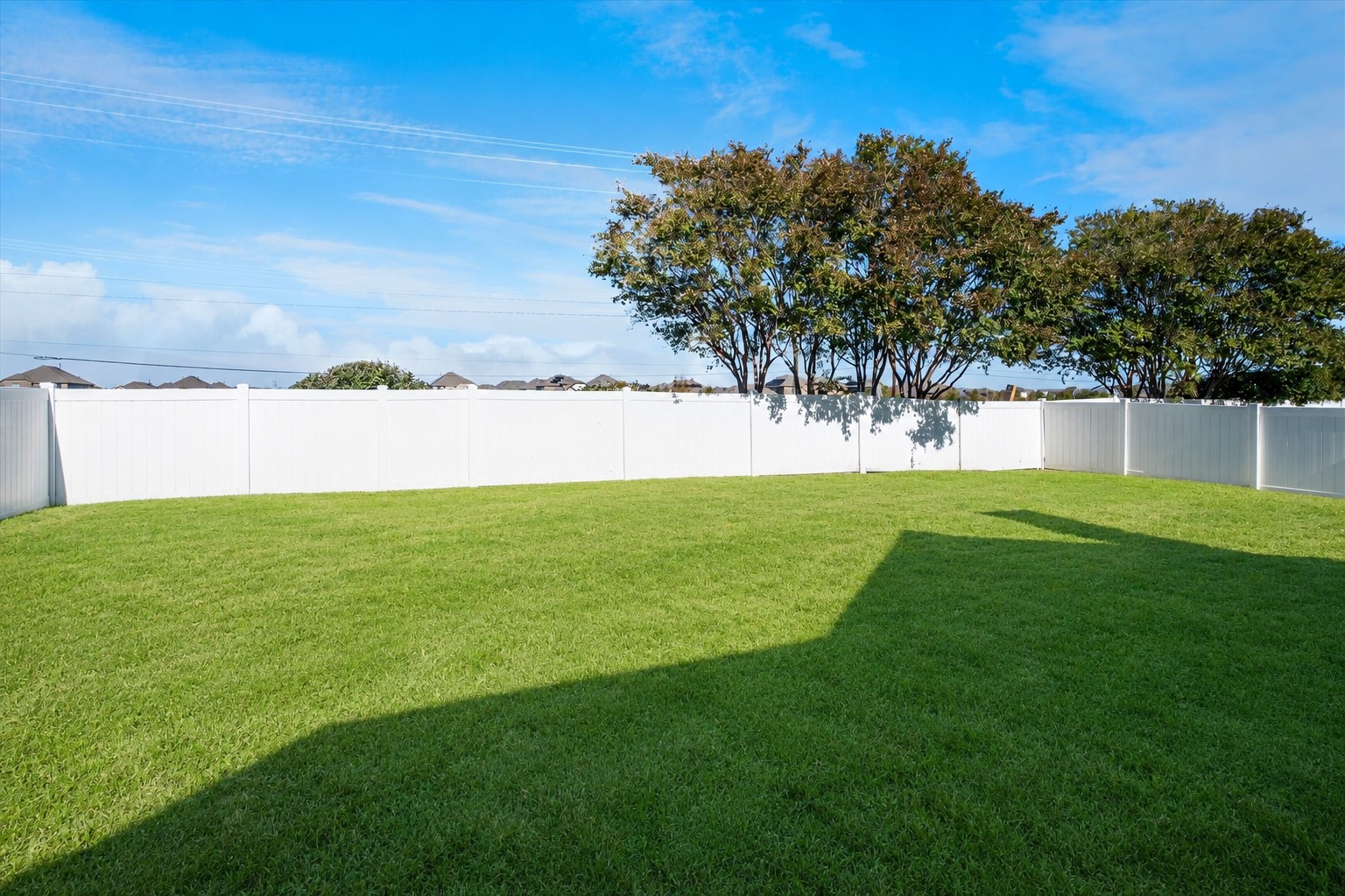 1131 Charleston Lane Savannah TX 76227