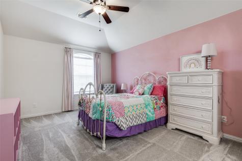 9359 Cherry Brook Lane Frisco TX 75033