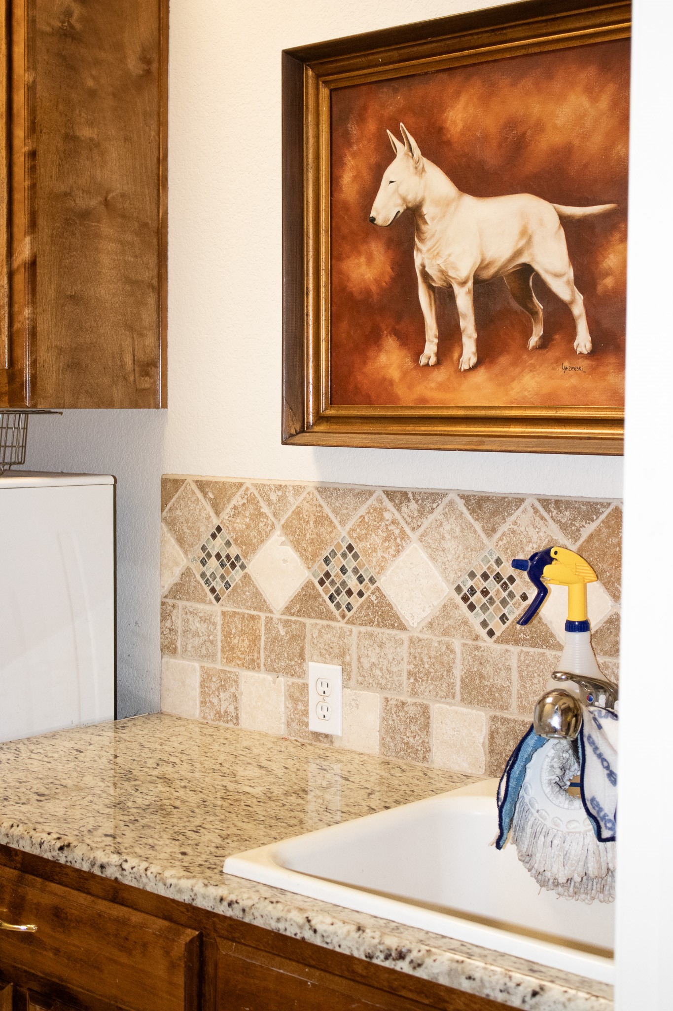 3416 Doris Walker Trail Burleson TX 76028