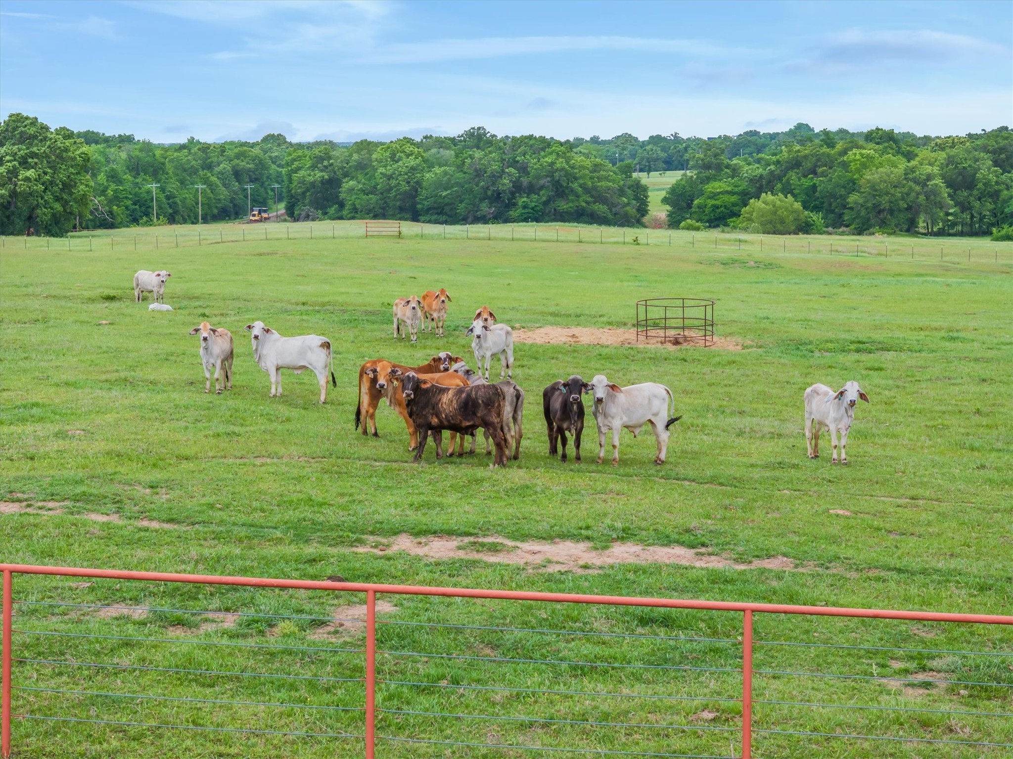 10266 County Road 1200 Athens TX 75751