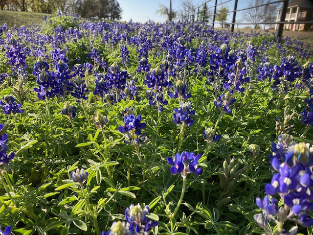 3829 Fm 2738 Alvarado TX 76009