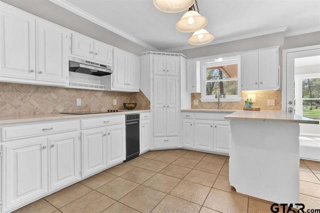 206 Hideaway Lane Central Hideaway TX 75771