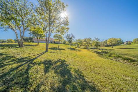 2852 Sonterra Drive Cedar Hill TX 75104