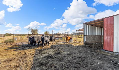 318 Cr 3355 Valley Mills TX 76689