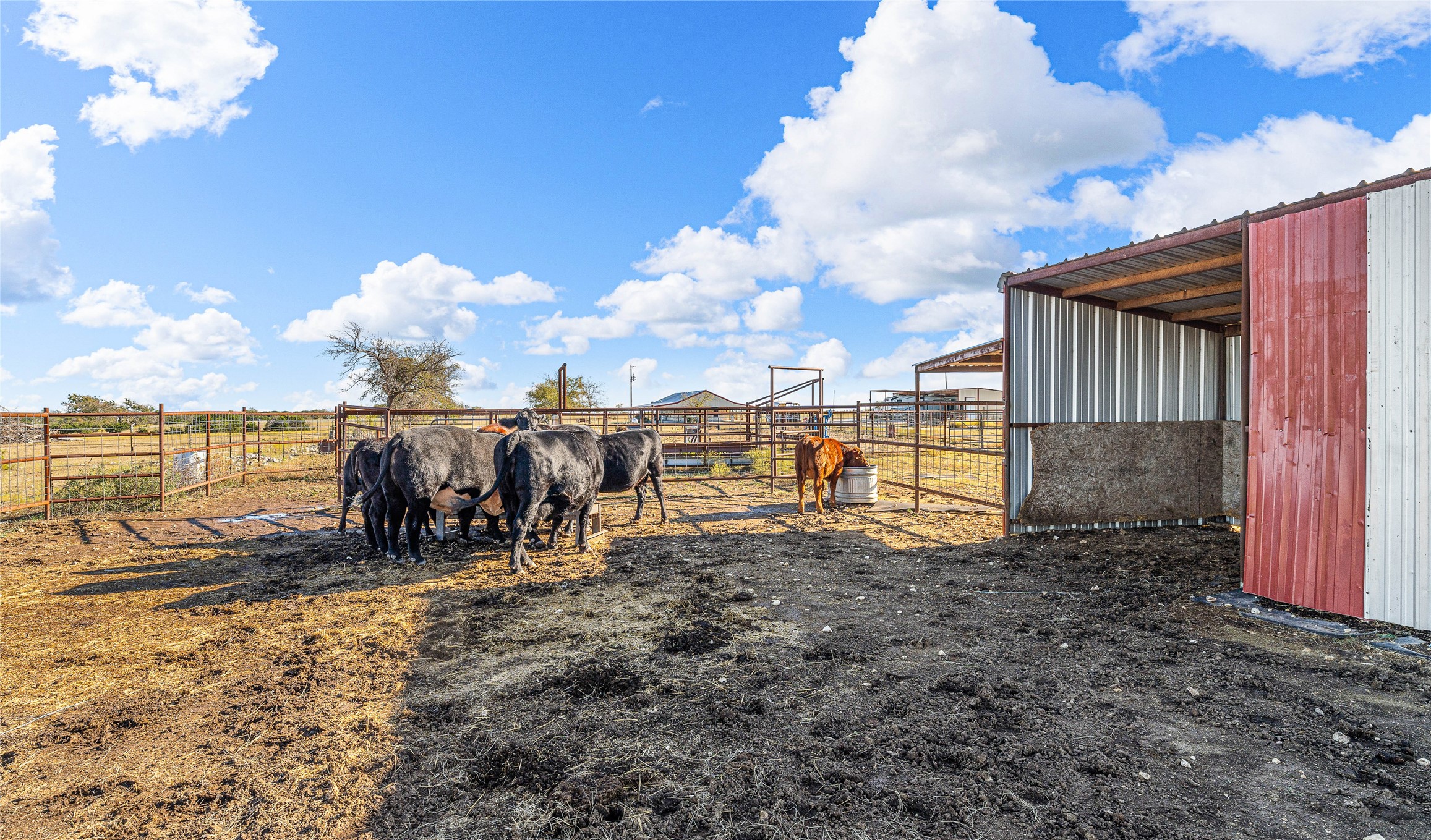 318 Cr 3355 Valley Mills TX 76689
