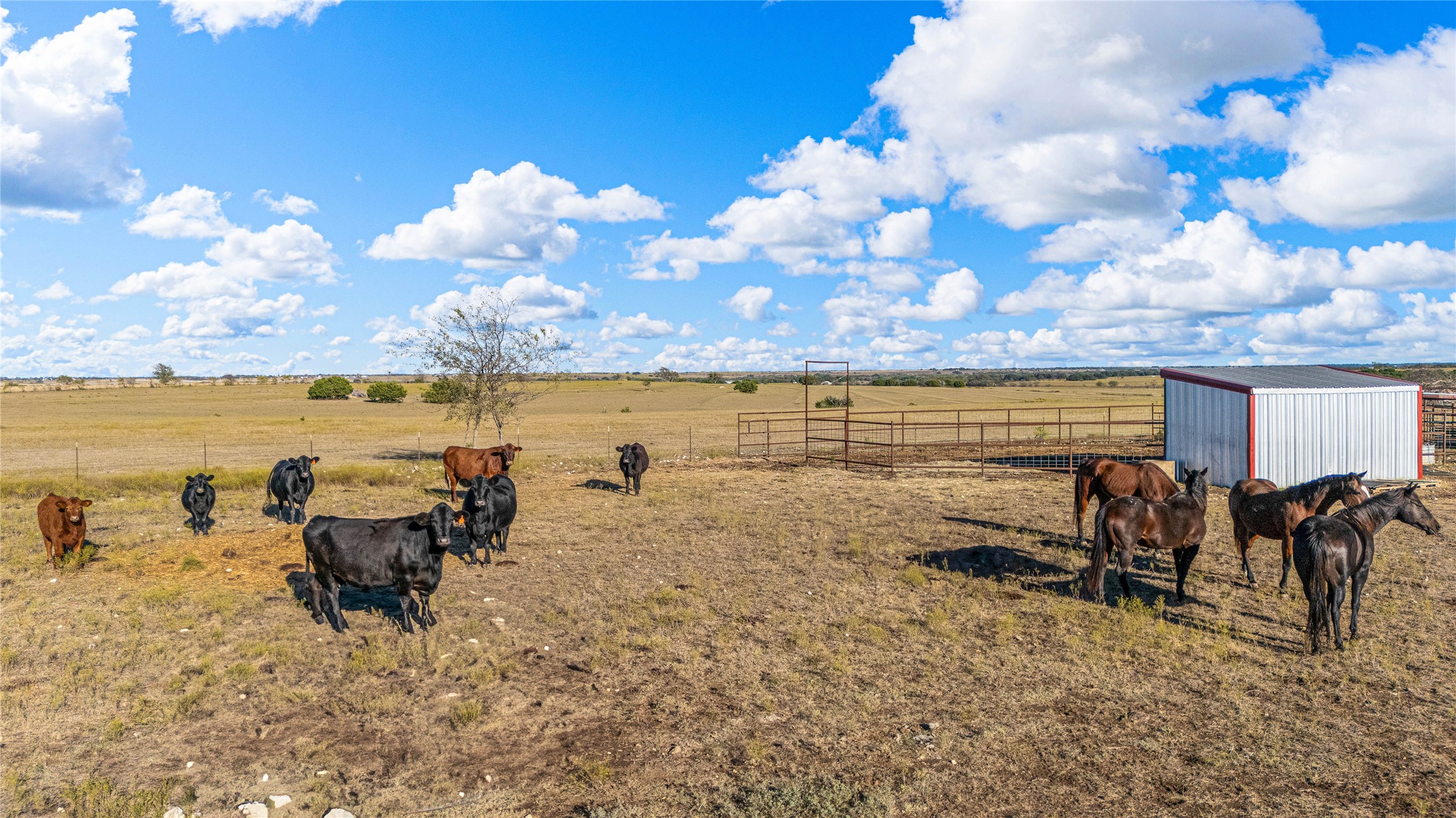 318 Cr 3355 Valley Mills TX 76689