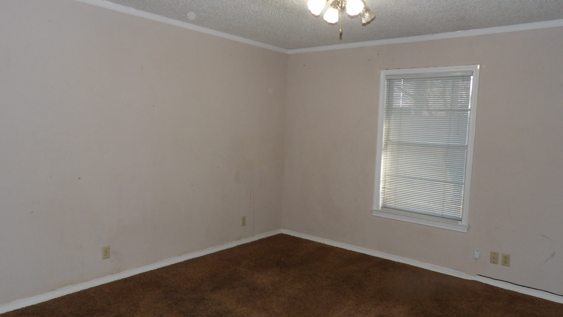 107 Nila Street Mount Vernon TX 75457