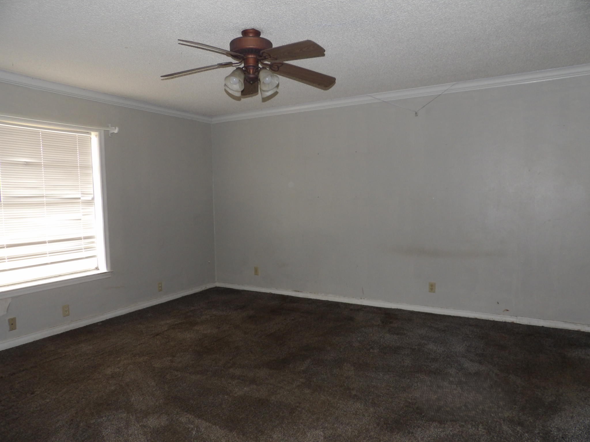 107 Nila Street Mount Vernon TX 75457