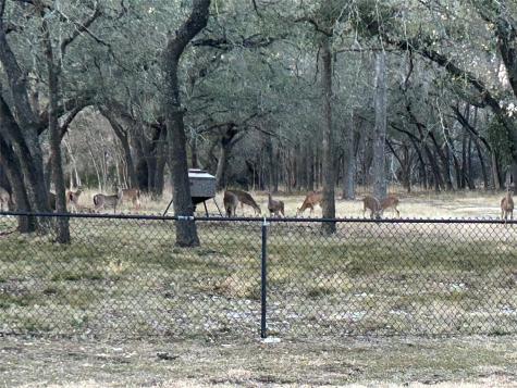 130 Winding Trail Crawford TX 76638