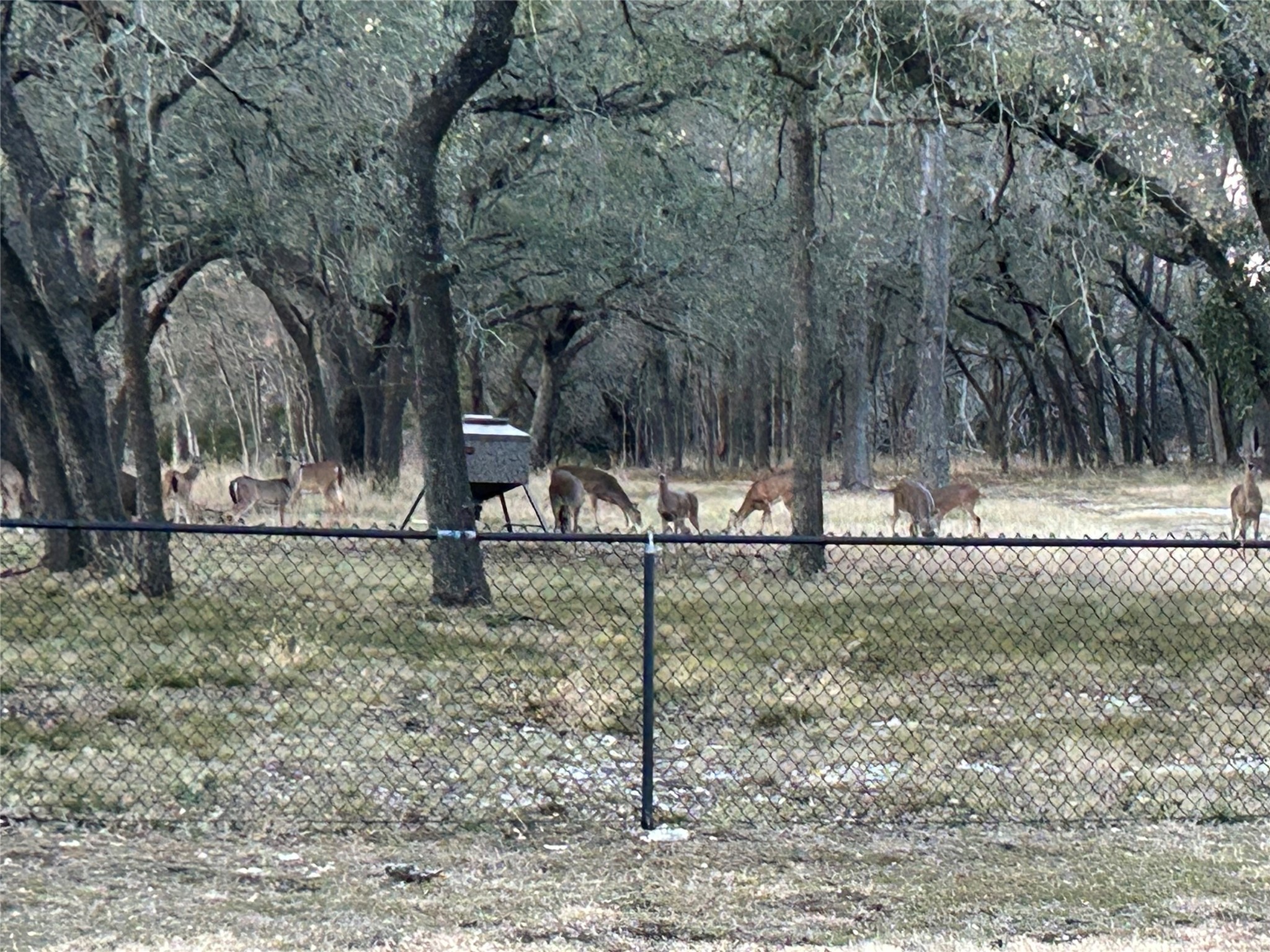 130 Winding Trail Crawford TX 76638