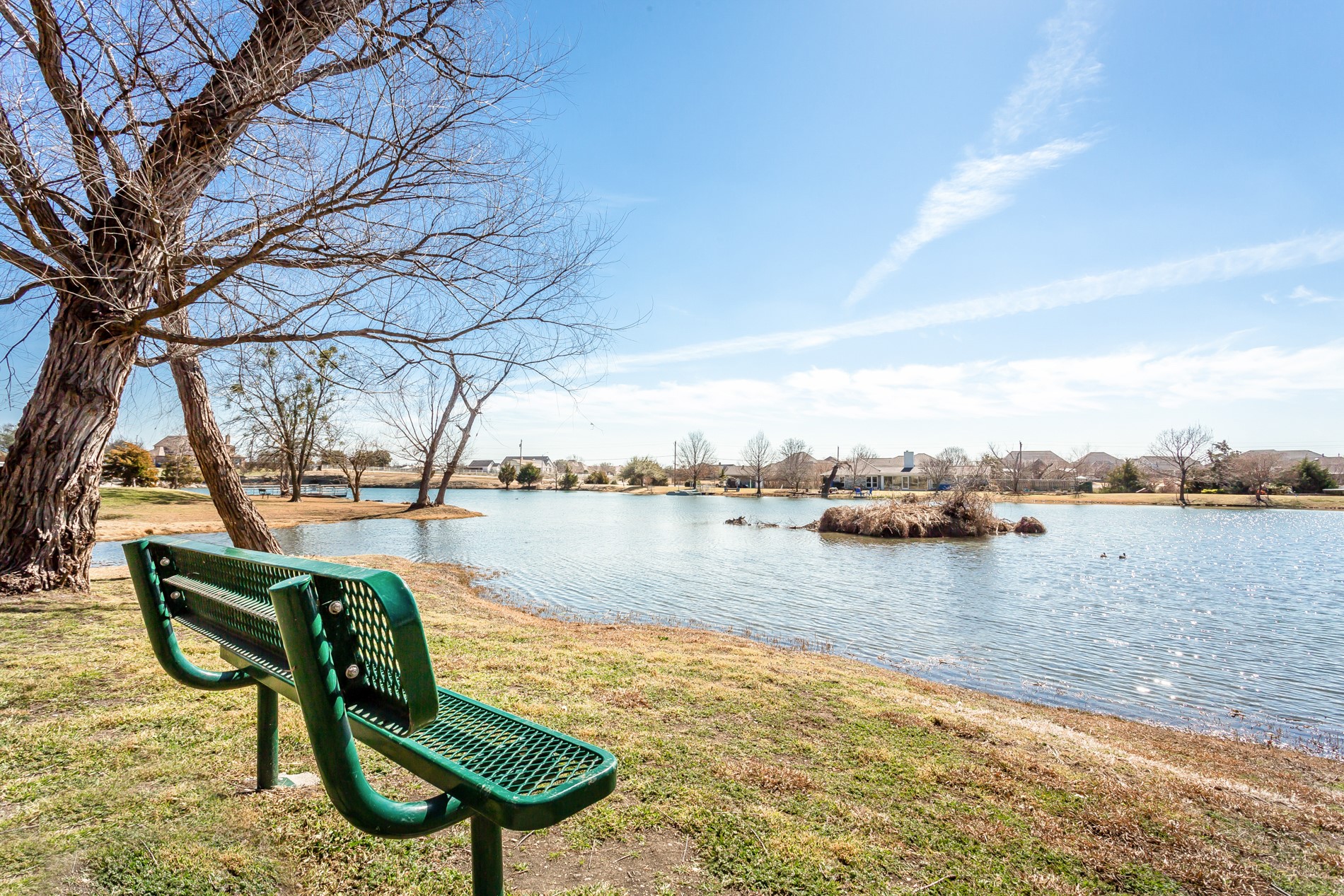 1236 Stone Lane Celina TX 75009