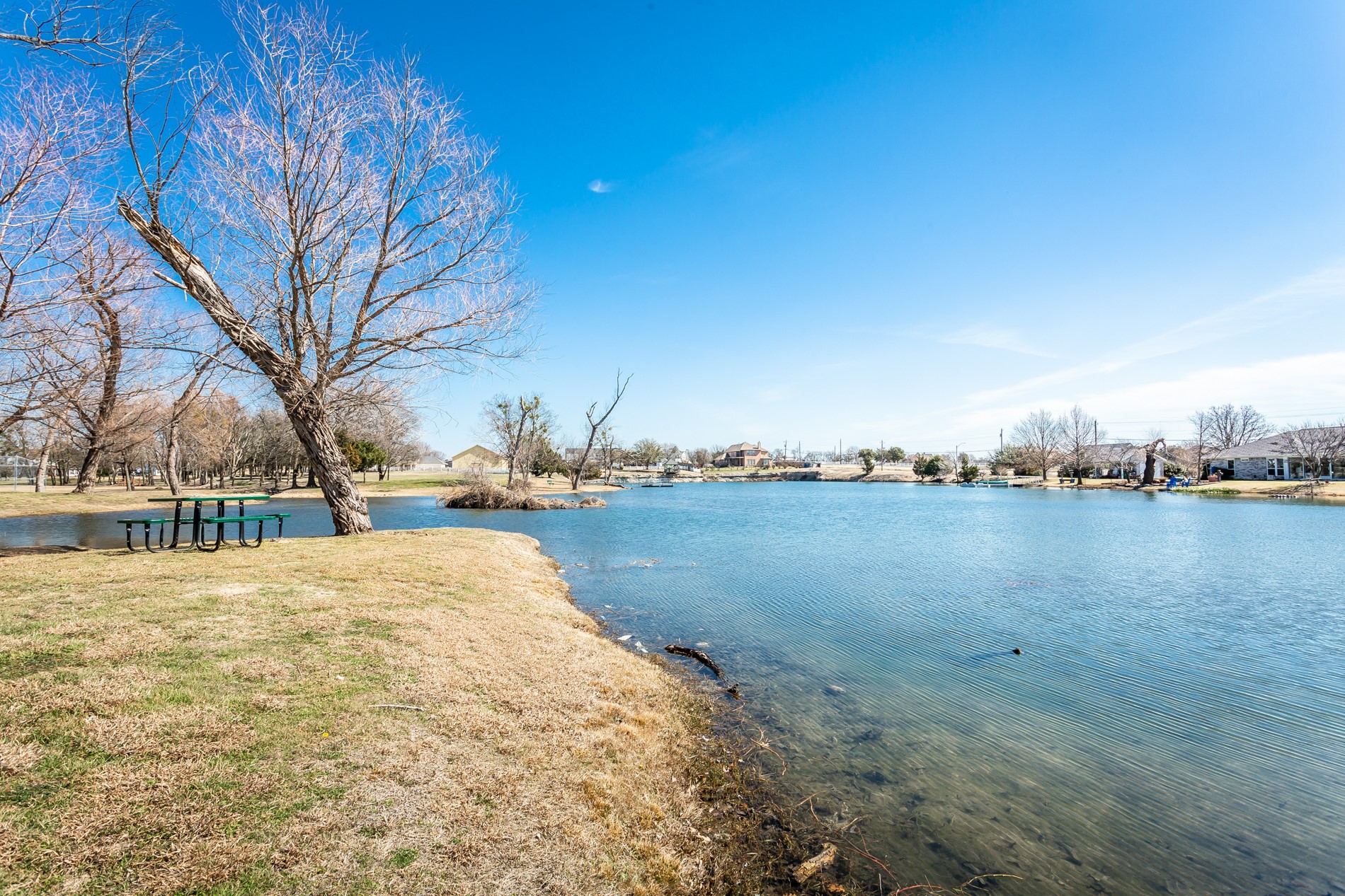 1236 Stone Lane Celina TX 75009