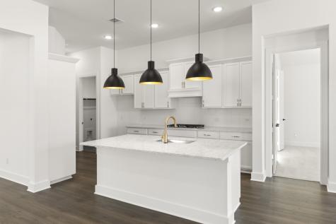 7245 Ladybug Lane Little Elm TX 76227